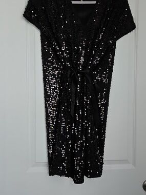 NWOT Silk V neck, Short Sleeve Sequined Dress.